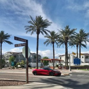 Street view of palm trees and a blue sky in Litchfield Park, AZ.